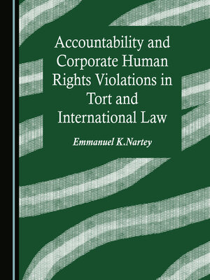 cover image of Accountability and Corporate Human Rights Violations in Tort and International Law